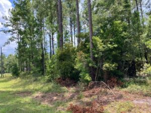 Property photo for land for sale in Columbia County Florida