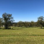 Property photo for land for sale in Lee County Alabama