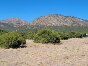 Property photo for land for sale in Santa Fe County New Mexico