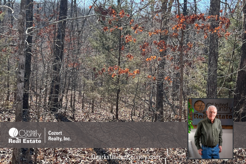 Property photo for land for sale in Fulton County Arkansas