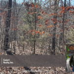 Property photo for land for sale in Fulton County Arkansas