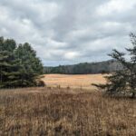 Property photo for land for sale in Pulaski County Virginia