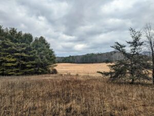 Property photo for land for sale in Pulaski County Virginia