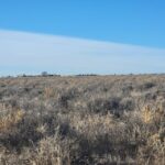 Property photo for land for sale in Torrance County New Mexico