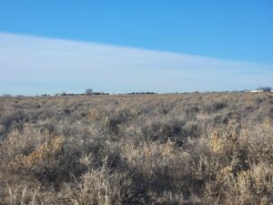 Property photo for land for sale in Torrance County New Mexico