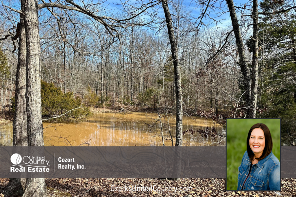 Property photo for land for sale in Fulton County Arkansas