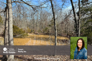 Property photo for land for sale in Fulton County Arkansas