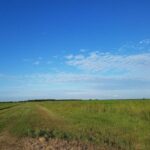 Property photo for land for sale in Jefferson County Texas