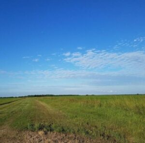 Property photo for land for sale in Jefferson County Texas