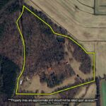 Property photo for land for sale in Henderson County Tennessee