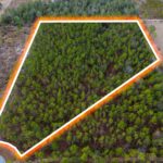 Property photo for land for sale in Suwannee County Florida