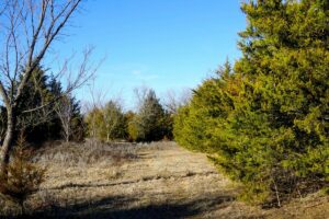 Property photo for land for sale in Lincoln County Oklahoma