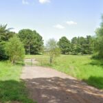 Property photo for land for sale in Morris County Texas