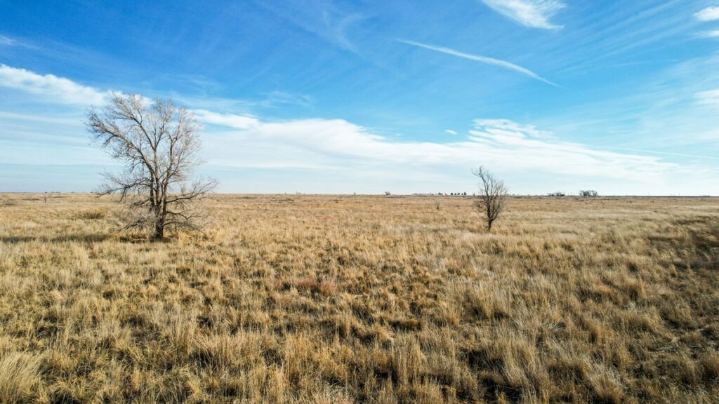 Property photo for land for sale in Lamb County Texas