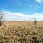 Property photo for land for sale in Lamb County Texas