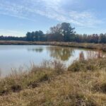 Property photo for land for sale in Bowie County Texas