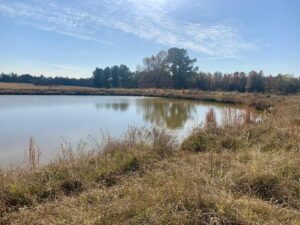 Property photo for land for sale in Bowie County Texas