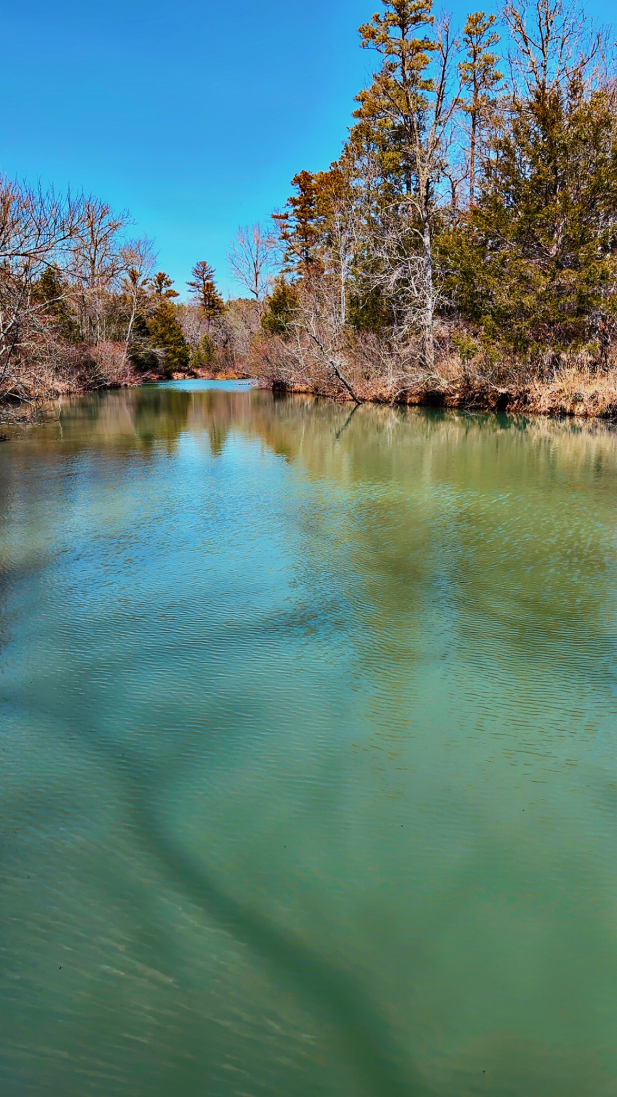 Property photo for land for sale in Pushmataha County Oklahoma