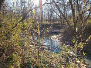 Property photo for land for sale in Atoka County Oklahoma