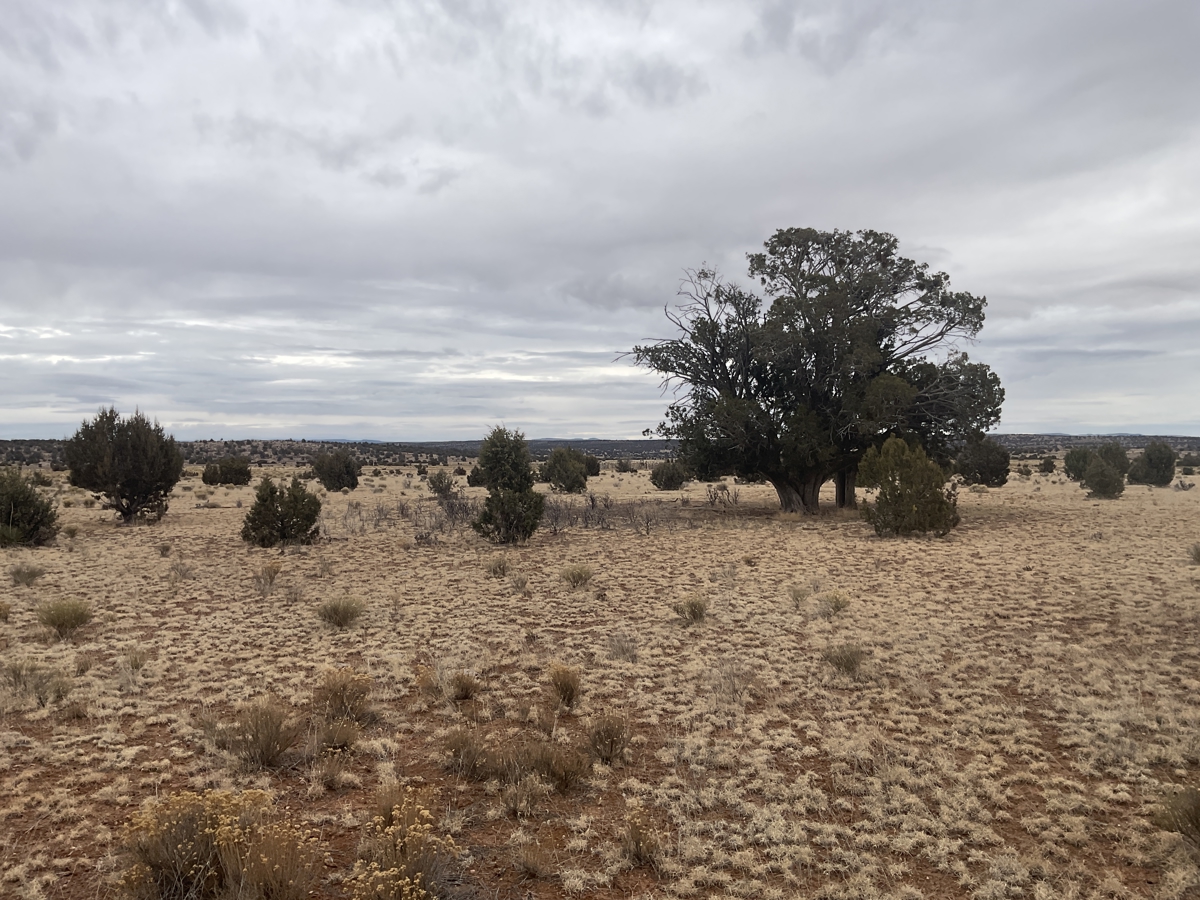 Property photo for land for sale in Yavapai County Arizona