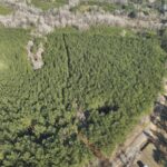 Property photo for land for sale in Ouachita County Arkansas