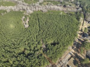 Property photo for land for sale in Ouachita County Arkansas