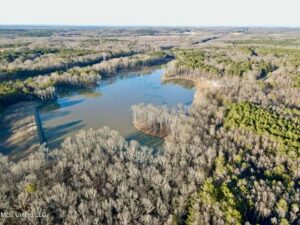 Property photo for land for sale in Madison County Mississippi