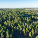 Property photo for land for sale in Van Zandt County Texas