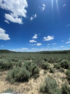 Property photo for land for sale in Rio Arriba County New Mexico