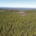 Property photo for land for sale in Sequatchie County Tennessee