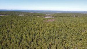 Property photo for land for sale in Sequatchie County Tennessee