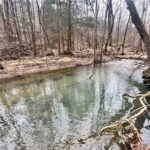 Property photo for land for sale in Newton County Arkansas