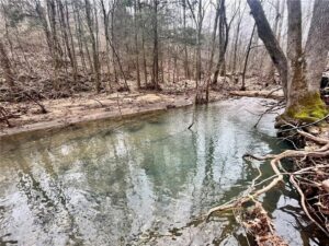 Property photo for land for sale in Newton County Arkansas