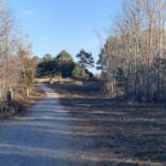 Property photo for land for sale in Lewis County Tennessee