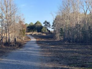 Property photo for land for sale in Lewis County Tennessee