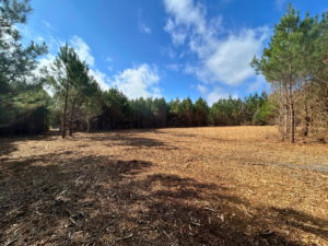 Property photo for land for sale in Harrison County Texas