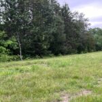 Property photo for land for sale in Hawkins County Tennessee