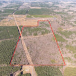 Property photo for land for sale in Lincoln County Louisiana