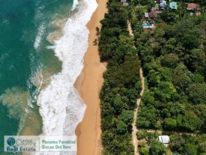 Property photo for land for sale in  County Panama