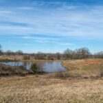 Property photo for land for sale in Morris County Texas