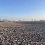 Property photo for land for sale in San Jacinto County Texas