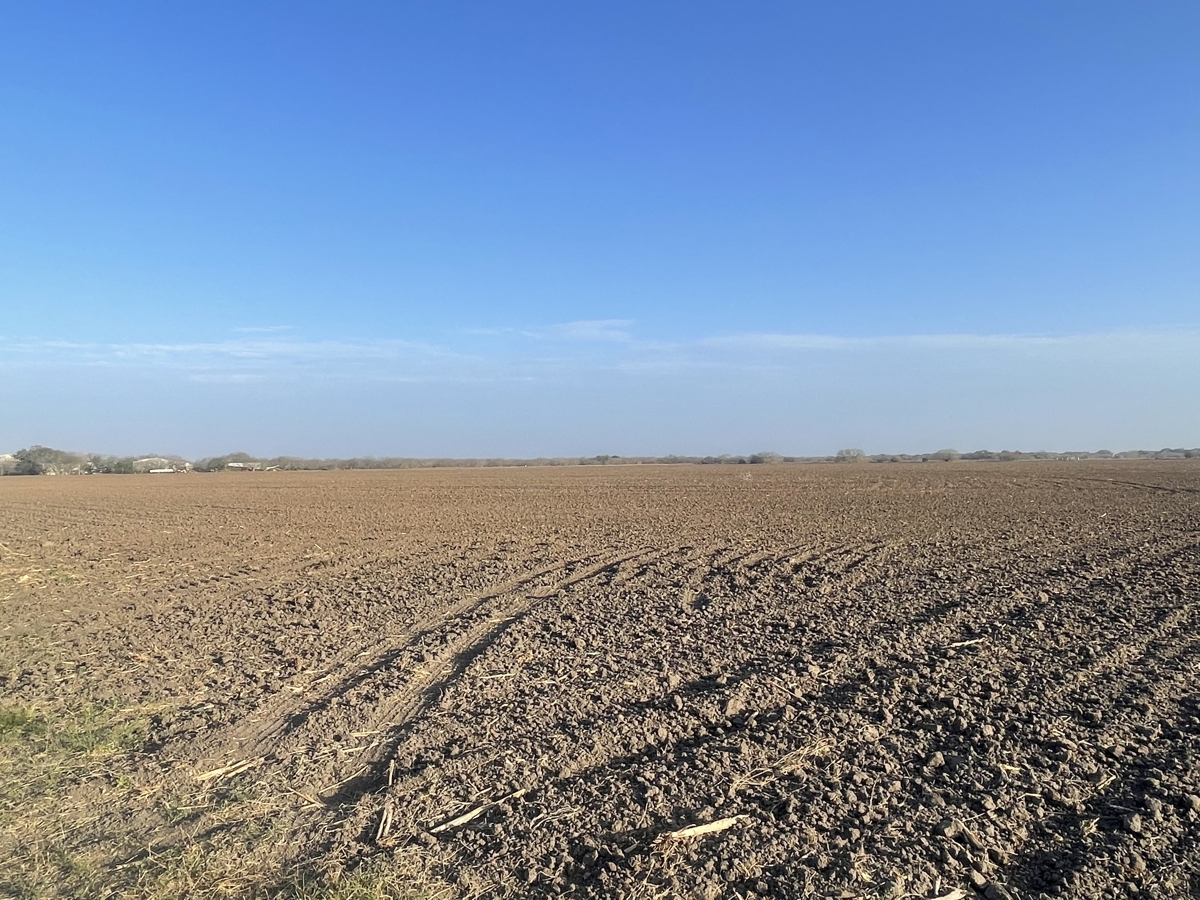 Property photo for land for sale in San Patricio County Texas