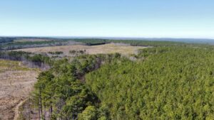 Property photo for land for sale in Sequatchie County Tennessee