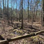 Property photo for land for sale in Sequatchie County Tennessee