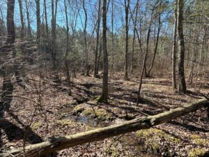 Property photo for land for sale in Sequatchie County Tennessee