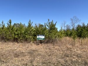 Property photo for land for sale in Dallas County Arkansas