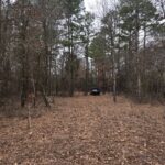 Property photo for land for sale in Pushmataha County Oklahoma