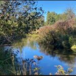 Property photo for land for sale in Montmorency County Michigan