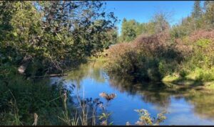 Property photo for land for sale in Montmorency County Michigan