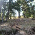 Property photo for land for sale in Yakima County Washington